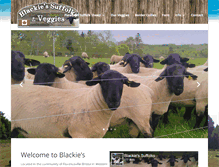 Tablet Screenshot of blackies.ca